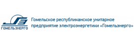 Лого РУП Гомельэнерго